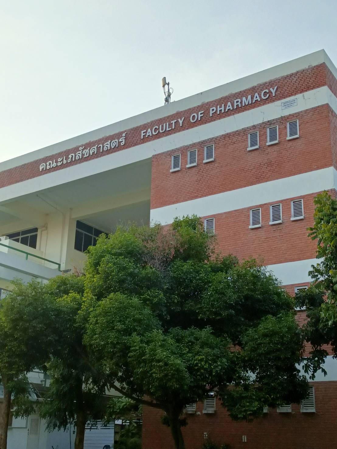 TH 26 ลายไม้แนวตั้ง หน่วยงานคณะเภสัชศาสตร์ ชั้น 1 ม.มหาสารคราม มหาสารคราม